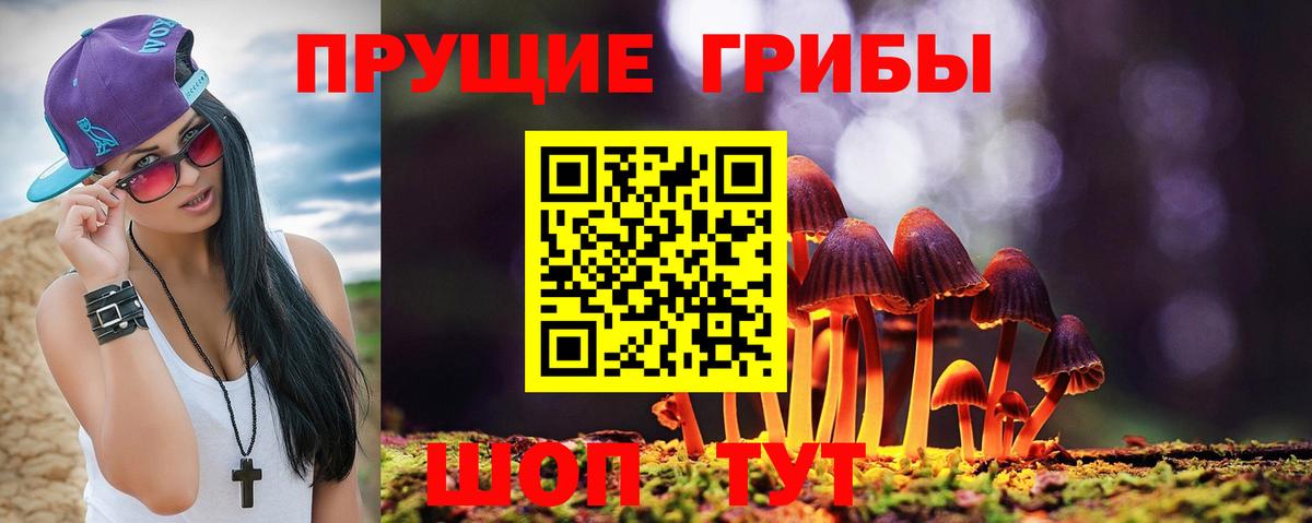 Мончегорск  Галлюциногенные грибы ЛСД  Вход с VPN 